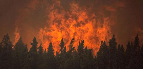 آتش سوزی جنگل های زاگرس,اخبار اجتماعی,خبرهای اجتماعی,محیط زیست