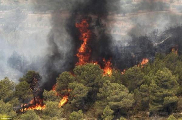 آتش سوزی در جنگل‌های اطراف گرگان,اخبار اجتماعی,خبرهای اجتماعی,محیط زیست
