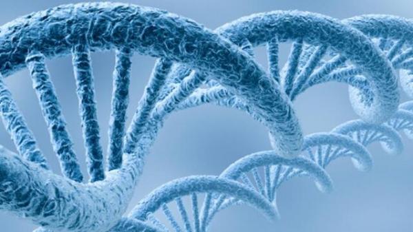 سلامت ژن‌ها در محل زندگی,اخبار پزشکی,خبرهای پزشکی,تازه های پزشکی