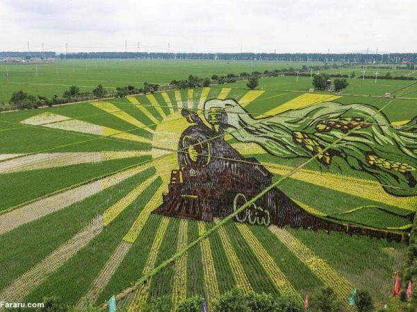 نقاشی های مزارع برنج,اخبار جالب,خبرهای جالب,خواندنی ها و دیدنی ها