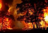 آتش‌سوزی در جنگل‌ها و مراتع کشور,اخبار علمی,خبرهای علمی,طبیعت و محیط زیست