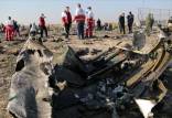 جزئیاتی از سانحه هواپیمای اوکراینی,اخبار اجتماعی,خبرهای اجتماعی,حقوقی انتظامی