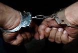 بازداشت کلاهبردار تحت تعقیب پلیس اینترپل در کرج,اخبار حوادث,خبرهای حوادث,جرم و جنایت