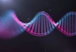 سلامت ژن‌ها در محل زندگی,اخبار پزشکی,خبرهای پزشکی,تازه های پزشکی