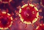 کرونا,اخبار پزشکی,خبرهای پزشکی,تازه های پزشکی