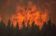آتش سوزی جنگل های زاگرس,اخبار اجتماعی,خبرهای اجتماعی,محیط زیست