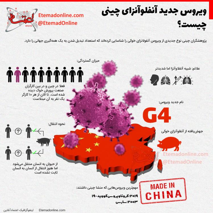 اینفوگرافیک در مورد ویروس آنفولانزای خوکی جدید در چین