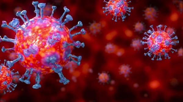 حمله ویروس کرونا به بدن,اخبار پزشکی,خبرهای پزشکی,تازه های پزشکی