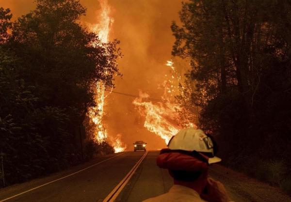 آتش‌سوزی در جنگل‌های کالیفرنیا,اخبار اجتماعی,خبرهای اجتماعی,محیط زیست