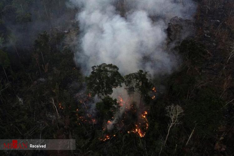 تصاویر آتش سوزی در جنگل‌های آمازون,عکس های آتش گرفتن جنگل های آمازون,تصاویر آتش در جنگل های آمازون