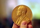 بنیاد نوبل,اخبار علمی,خبرهای علمی,پژوهش