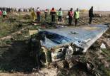 سقوط هواپیمای اوکراینی,اخبار سیاسی,خبرهای سیاسی,اخبار سیاسی ایران