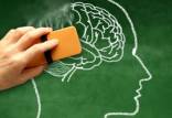 درمان جدید برای معکوس کردن از دست رفتن حافظه بر اثر آلزایمر,اخبار پزشکی,خبرهای پزشکی,تازه های پزشکی