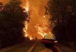 آتش‌سوزی در جنگل‌های کالیفرنیا,اخبار اجتماعی,خبرهای اجتماعی,محیط زیست
