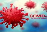 ویروس کرونا,اخبار پزشکی,خبرهای پزشکی,تازه های پزشکی