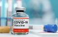 کشف واکسن کرونا از پروتئین موجود در برگ تنباکو,اخبار پزشکی,خبرهای پزشکی,تازه های پزشکی