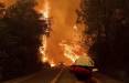 آتش‌سوزی در جنگل‌های کالیفرنیا,اخبار اجتماعی,خبرهای اجتماعی,محیط زیست