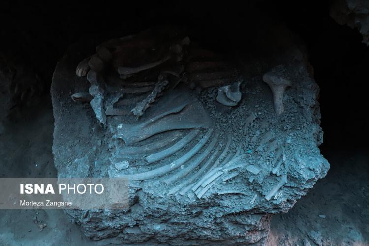 تصاویر کشف اسکلت دوره اشکانی در تپه اشرف اصفهان,عکس های اسکلت دوره اشکانی در تپه اشرف اصفهان,تصاویر اسکلت یک زن متعلق به دوره اشکانیان