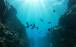 فروپاشی اکوسیستم‌های دریایی,اخبار علمی,خبرهای علمی,طبیعت و محیط زیست