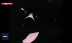 فیلم/ راهپیمایی فضایی چیست؟