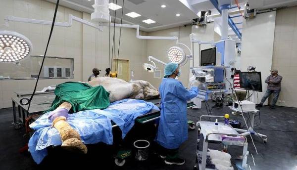 بیمارستان فوق‌پیشرفته شترها در عربستان,اخبار جالب,خبرهای جالب,خواندنی ها و دیدنی ها