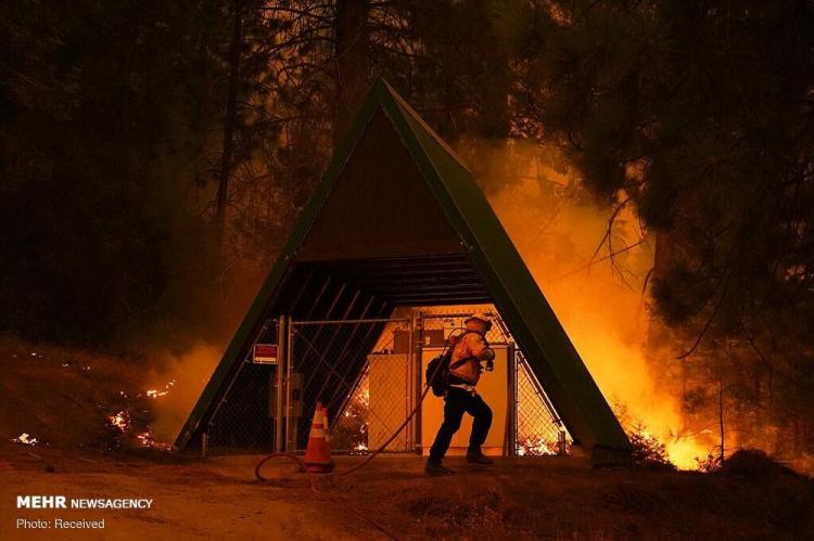 تصاویر شدت گرفتن آتش سوزی جنگل های کالیفرنیا,عکس های آتش سوزی جنگل های کالیفرنیا,تصاویر آتش سوزی در کالیفرنیا