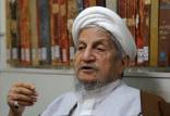 آیت الله یوسف صانعی,اخبار سیاسی,خبرهای سیاسی,اخبار سیاسی ایران