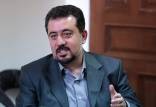 معاون ساماندهی امور جوانان وزارت ورزش و جوانان,اخبار اجتماعی,خبرهای اجتماعی,خانواده و جوانان