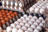 قیمت تخم مرغ,اخبار اقتصادی,خبرهای اقتصادی,کشت و دام و صنعت