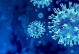 انتقال کرونا از طریق هوا,اخبار پزشکی,خبرهای پزشکی,تازه های پزشکی