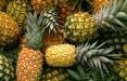 قیمت آناناس و میوه در بازار,اخبار اقتصادی,خبرهای اقتصادی,کشت و دام و صنعت