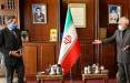 ظریف: ایران به دنبال ادامه همکاری با آژانس در شرایط عادی و در چارچوب مقررات بینالمللی است دیدار محمدجواد ظریف و رافائل گروسی,اخبار سیاسی,خبرهای سیاسی,سیاست خارجی