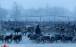 تصاویر گله گوزن‌ها در قطب شمال روسیه,عکس های گوزن ها در روسیه,تصاویری از گوزن ها در روسیه