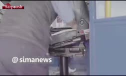 فیلم/ رکوردهای جديد گينس؛ از کوتاه ترين راننده اتوبوس تا دست دادن موش