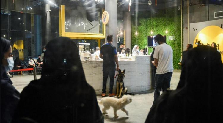 تصاویر افتتاح اولین کافی شاپ ورود با سگ در عربستان,عکس های کافی شاپ ورود با سگ در عربستان،تصاویر کافی شاپ های عربستان