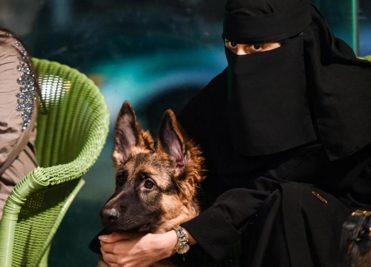 تصاویر افتتاح اولین کافی شاپ ورود با سگ در عربستان,عکس های کافی شاپ ورود با سگ در عربستان،تصاویر کافی شاپ های عربستان