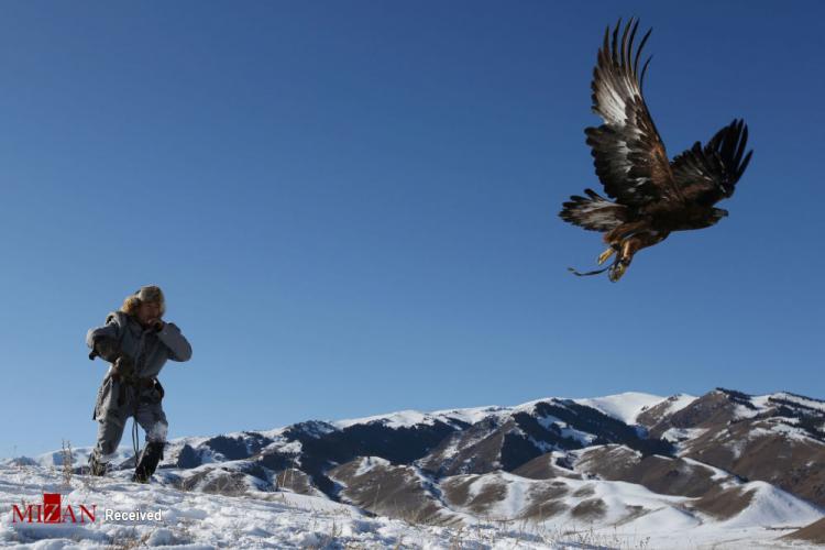 تصاویر مراحل شکار با عقاب در قزاقستان,عکس های شکار با عقاب,تصاویری از شکار با عقاب