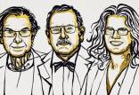 برندگان جایزه نوبل فیزیک سال 2020,اخبار علمی,خبرهای علمی,پژوهش