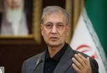 علی ربیعی,اخبار سیاسی,خبرهای سیاسی,دولت