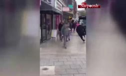 فیلم/ واکنش مردم به حضور دایناسور در خیابان!