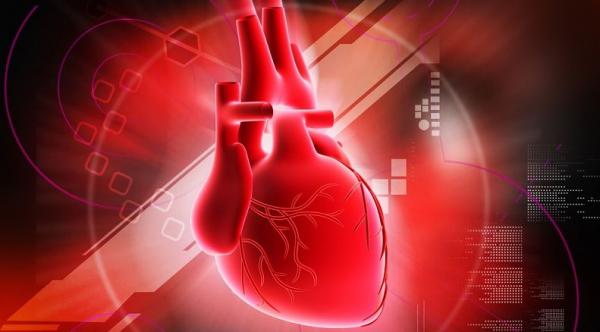 اثر رژیم غذایی کتوژنیک بر نارسایی قلبی,اخبار پزشکی,خبرهای پزشکی,تازه های پزشکی
