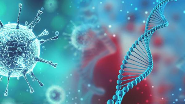 کشف ژن جدید مخفی در کرونا,اخبار پزشکی,خبرهای پزشکی,تازه های پزشکی