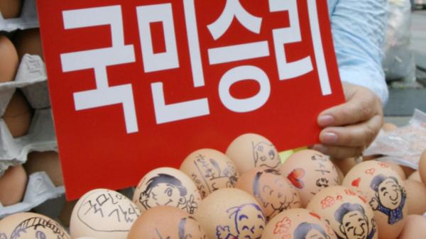 تخم‌مرغ دزد کره‌ای,اخبار جالب,خبرهای جالب,خواندنی ها و دیدنی ها