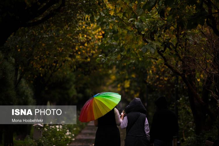 تصاویر باران پاییزی در تهران,عکس های بارش باران در تهران,تصاویر باش باران در پاییز تهران,تصاویری از بارش باران پاییزی