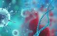 کشف ژن جدید مخفی در کرونا,اخبار پزشکی,خبرهای پزشکی,تازه های پزشکی