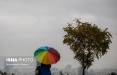 تصاویر باران پاییزی در تهران,عکس های بارش باران در تهران,تصاویر باش باران در پاییز تهران,تصاویری از بارش باران پاییزی