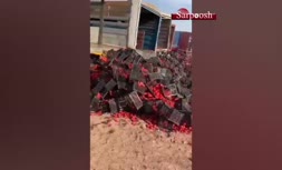 فیلم/ معدوم‌سازی گوجه‌های صادراتی ایران در مرزها!