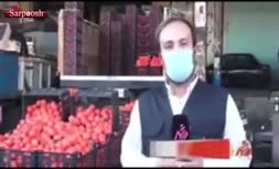 فیلم/ گوجه سر مزرعه ۵۰۰ تومان در مغازه ۲۳ هزار تومان!