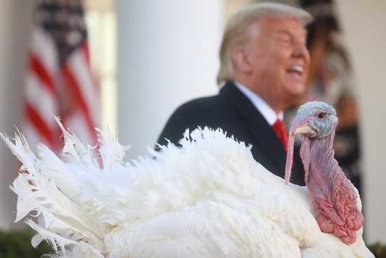 عکس‌های رویترز از ترامپ در مراسم شکرگزاری در کاخ سفید