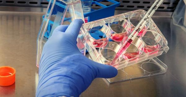 آخرین وضعیت کرونا در ایران,سیما سادات لاری